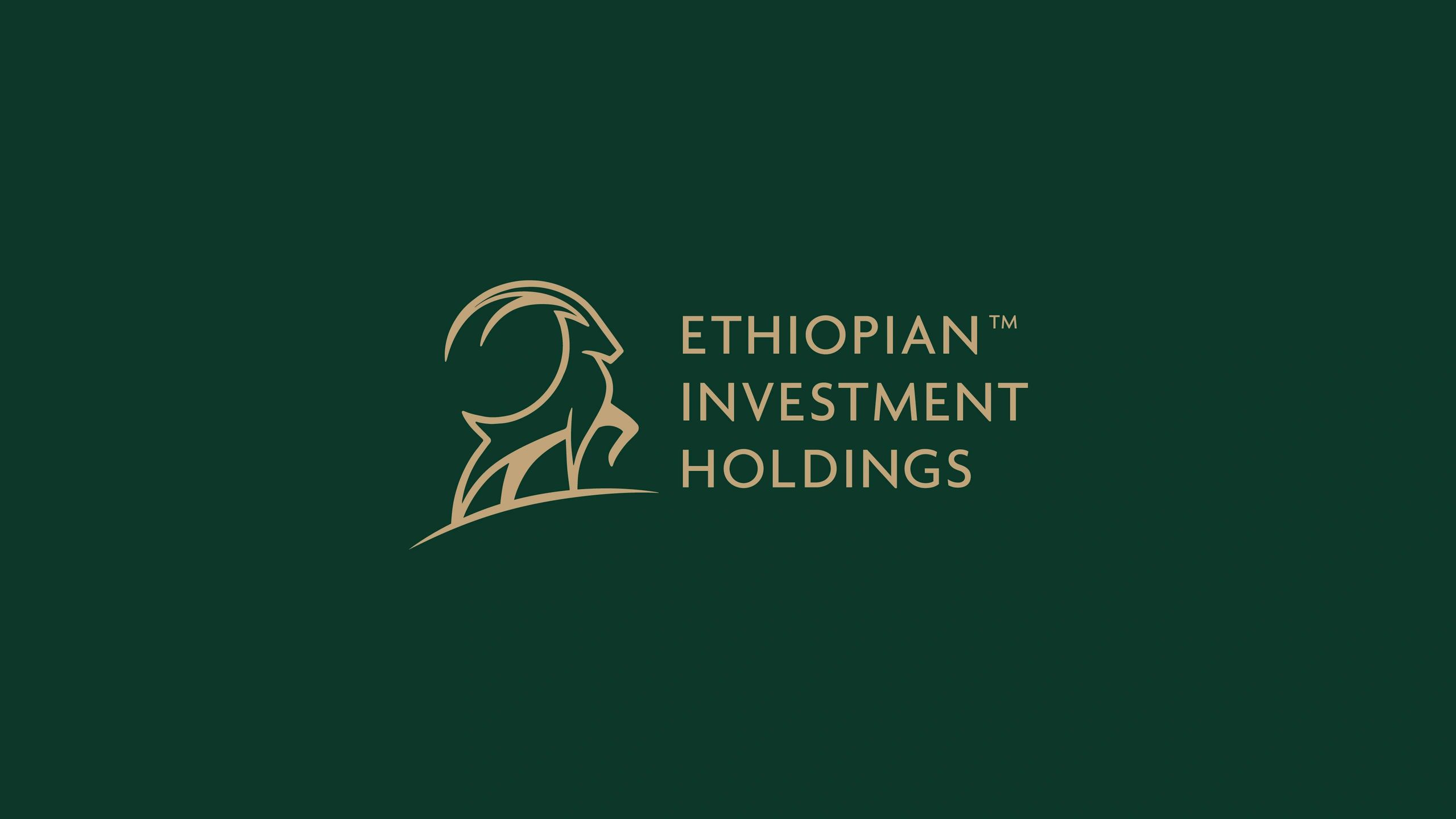 EIH Generates over 249 Billion Birr in Q1 of EFY